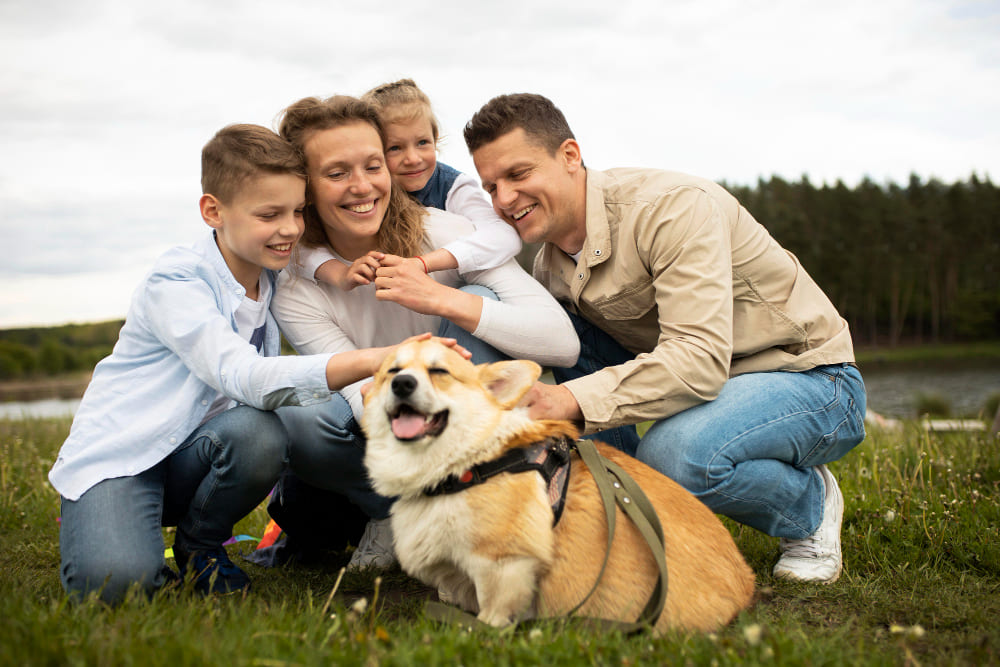 why pets feel like family, not animals